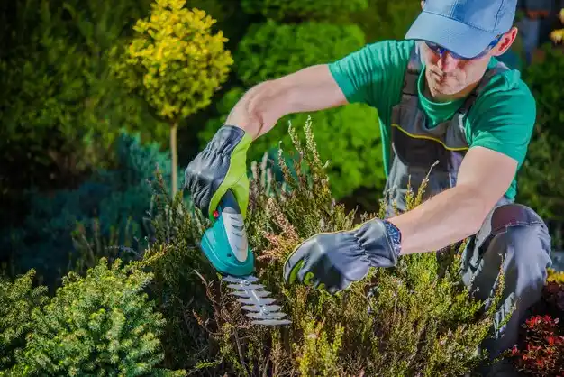 landscaping services Homeworth